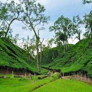 Sreemangal