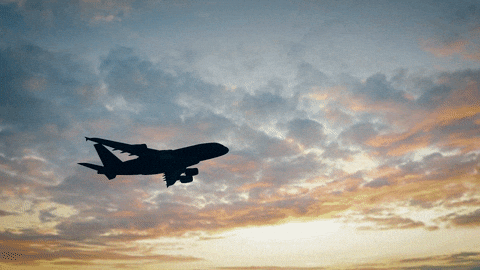 Plane animation background